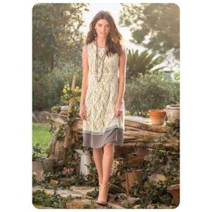 * Sundance Orly Sleeveless Lace Shift Dress sz 4